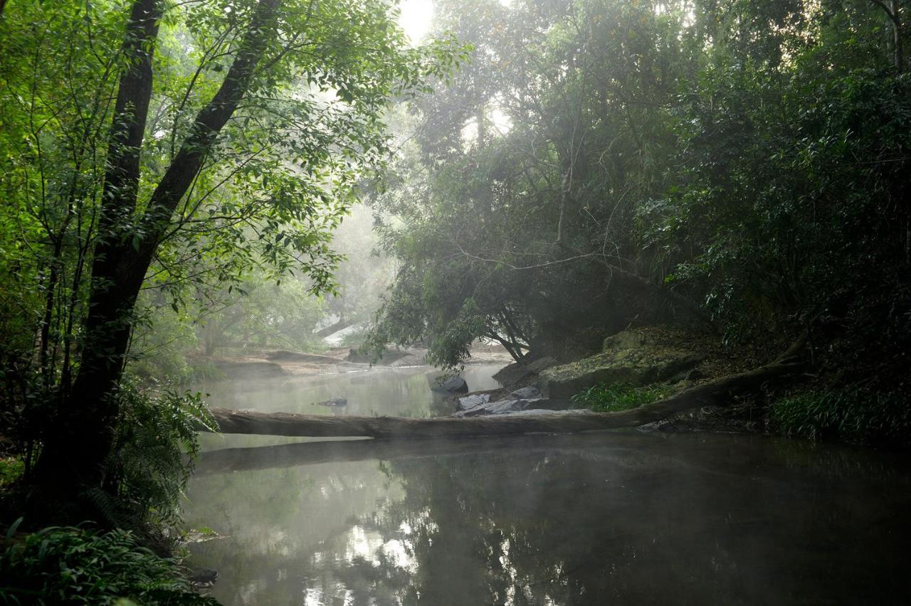 Amanvana Spa Resort, Coorg Kushalnagar Ngoại thất bức ảnh