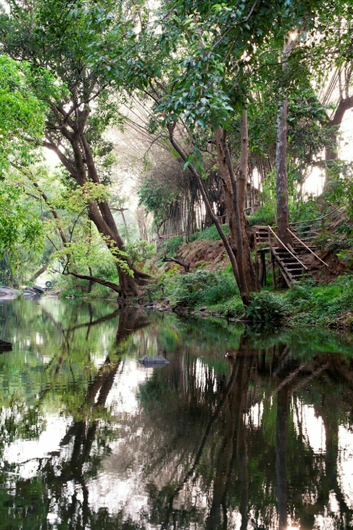 Amanvana Spa Resort, Coorg Kushalnagar Ngoại thất bức ảnh
