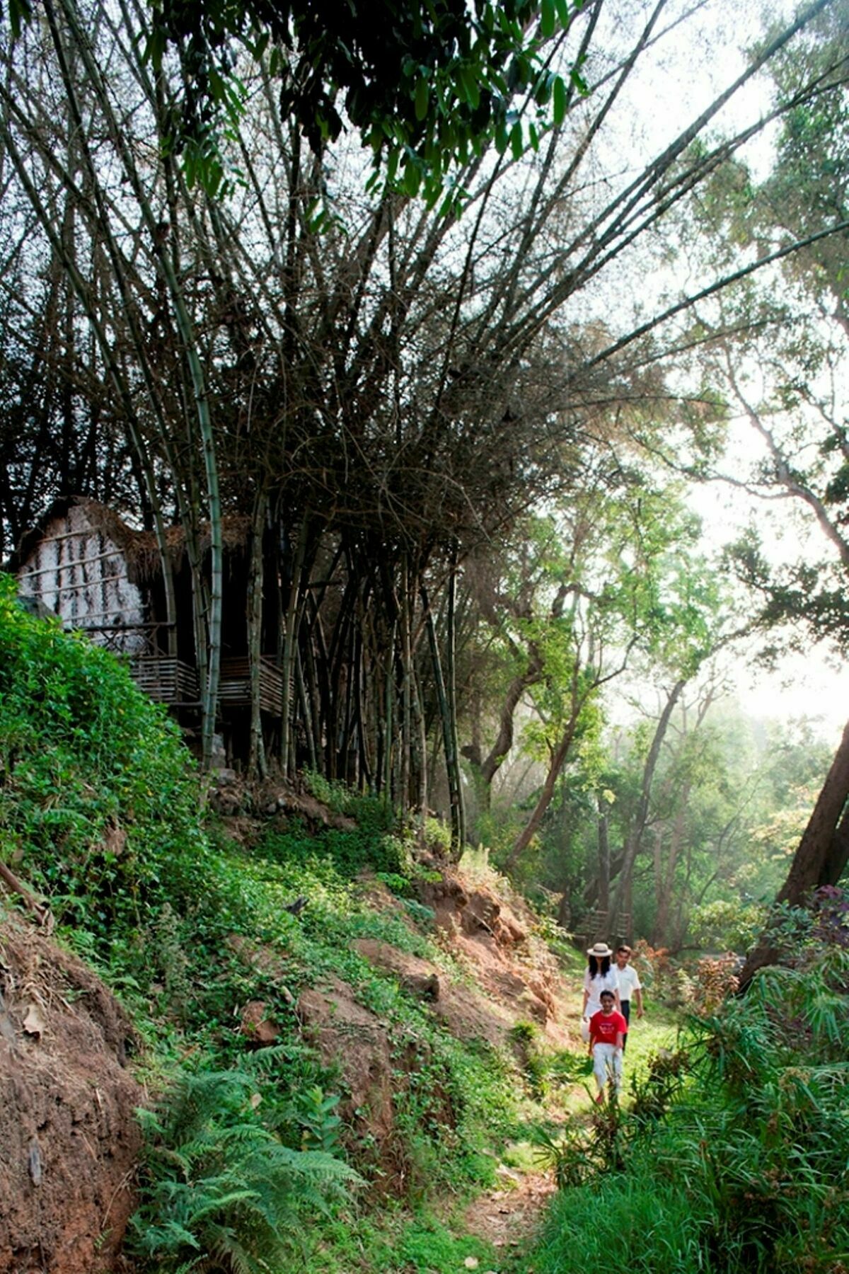 Amanvana Spa Resort, Coorg Kushalnagar Ngoại thất bức ảnh